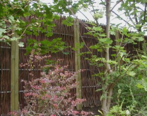 Woven willow screen with complimentary planting.